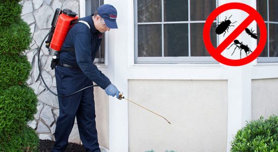 Helvacı Haşere İlaçlama böcek ilaçlama ve haşere kontrolü — ilaclama-tr.com